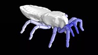 3d model of spider