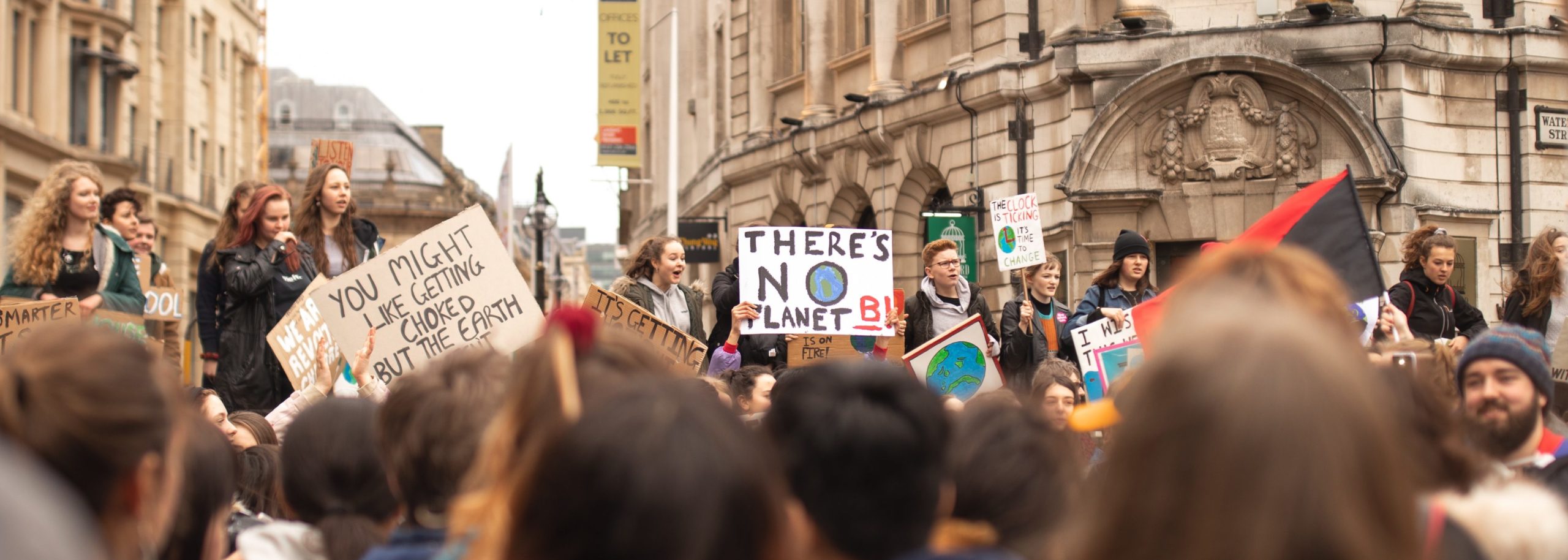 Image of climate protest