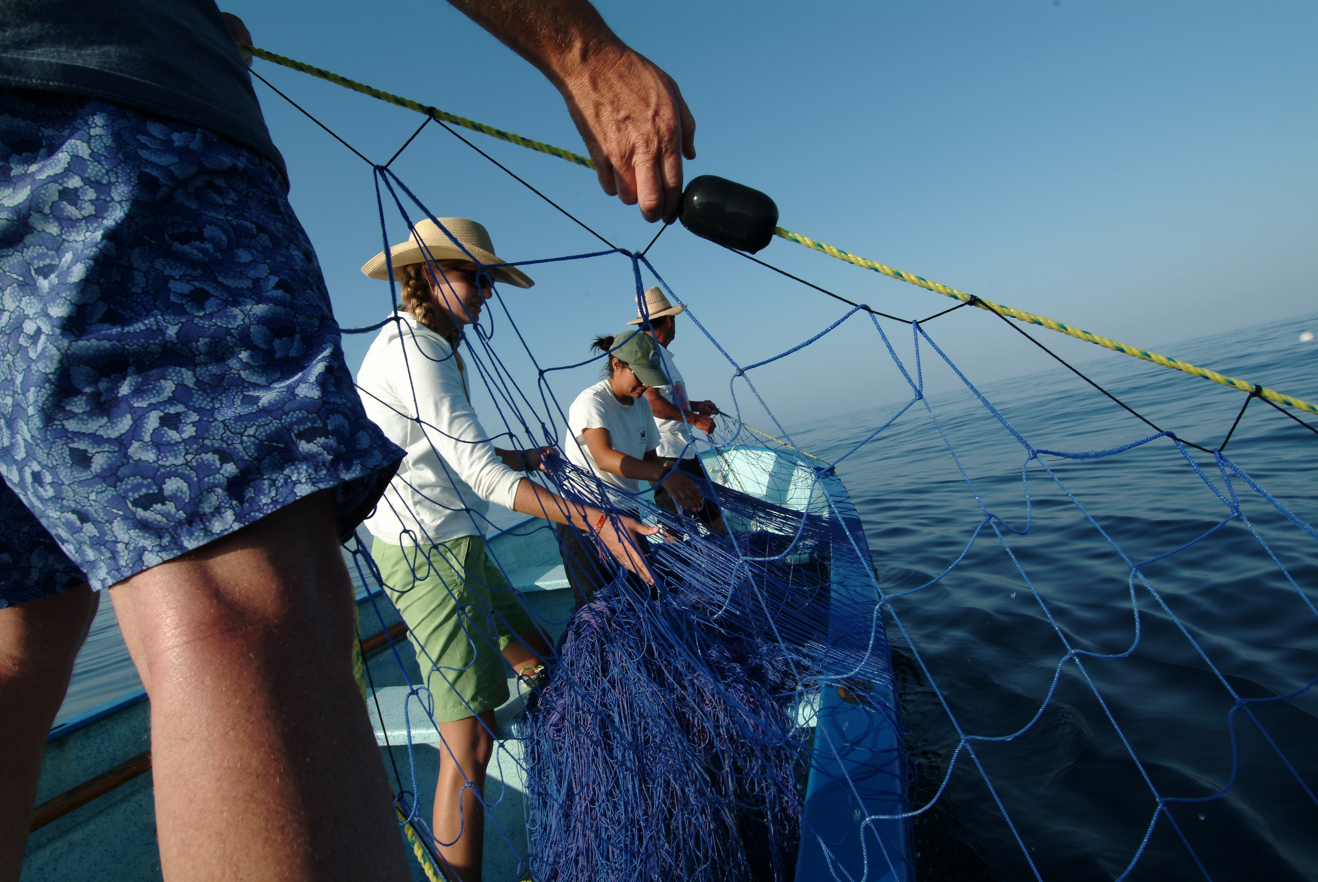 I helped Don and his crew put satellite tags on mobula rays