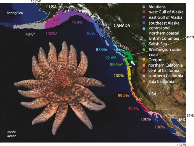 sea star wasting map
