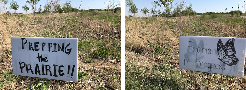 prarie-before-and-after.