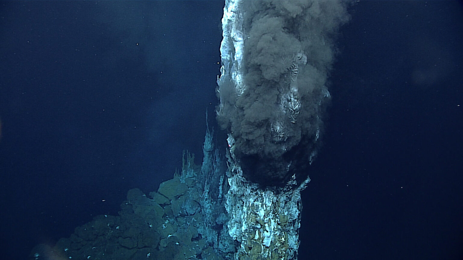 hydrothermal vents