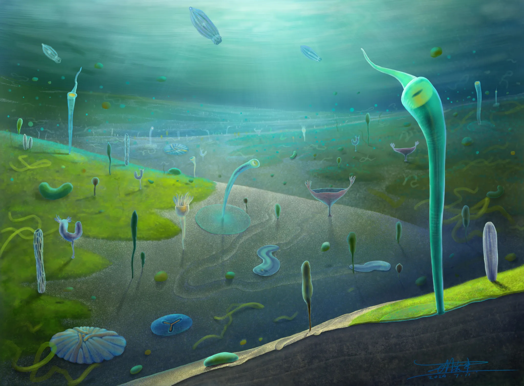 Reconstruction-of-Jiangchuan-biota