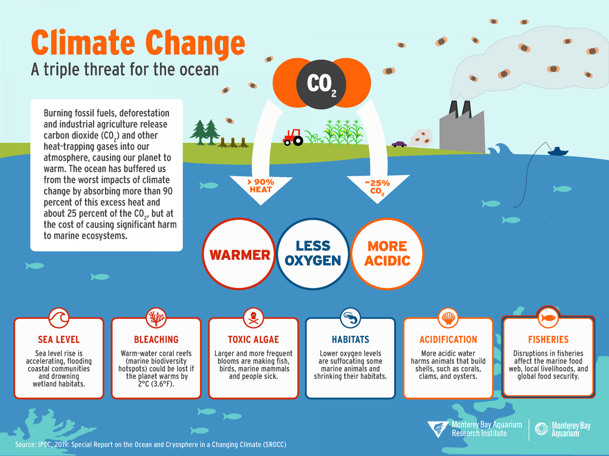 Climate Crisis and Ocean Warming | the Shape of Life | The Story of the Animal Kingdom