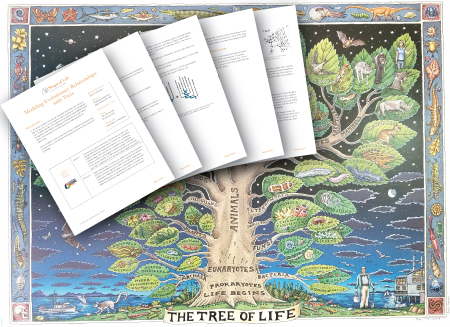 New Resources The Shape Of Life The Story Of The Animal - 