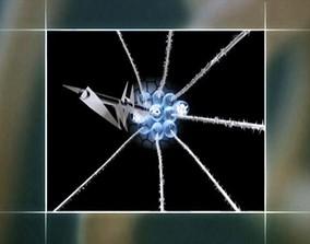 The Shape of Life video shows how an anemone uses its nematocysts to catch food.