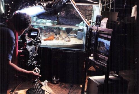 Filming in aquarium