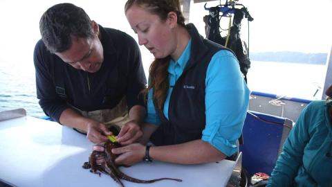 Kelly Voss with Sea Creature