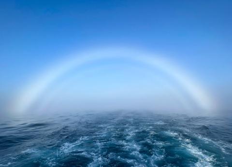 fogbow