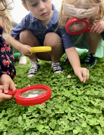 kids clover