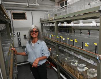 Kala in Lab