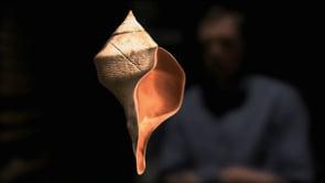 Shell shocked - Science blog
