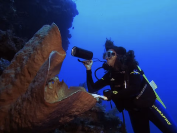 Cristina Diaz underwater