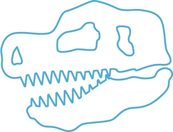 Skull of dinosaur